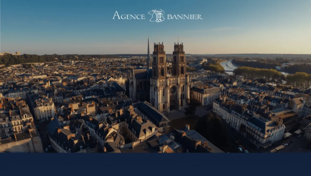 Vente maison La Ferté-Saint-Aubin : l’art de vivre en Sologne avec Agence Bannier 1 agence bannier panorama ciel